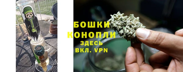 стафф Покачи